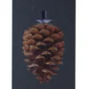 Akustikbillede Art-Acoustic koglen 60 x 120 cm - mørk grå