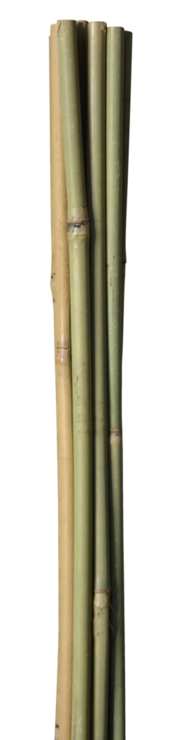 Bambuspinde 150 cm 4 stk.