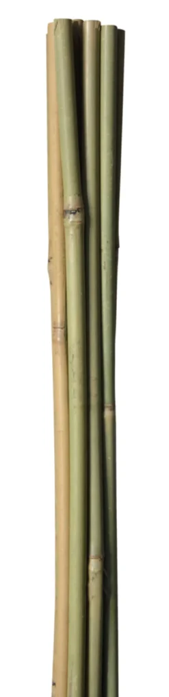 Bambuspinde 120 cm 4 stk.