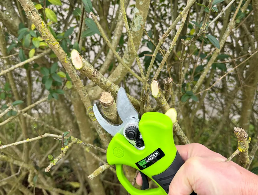 Beskæresaks akku 21 V 2,0 Ah - Garden®