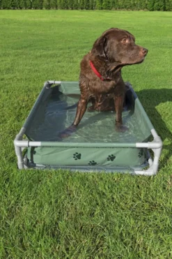 Bestway Fetchin' Fun legepool og seng