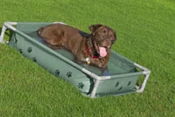 Bestway Fetchin' Fun legepool og seng