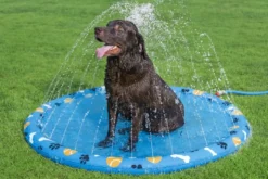 Bestway Fetchin' Fun plaskedug
