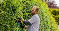 Bosch EasyHedgeCut 45 hækkeklipper 420 W