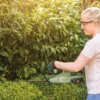 Bosch EasyHedgeCut 18-45 hækkeklipper 18 V 2,0 Ah
