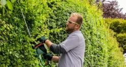 Bosch el-hækkeklipper 480 W 50 cm