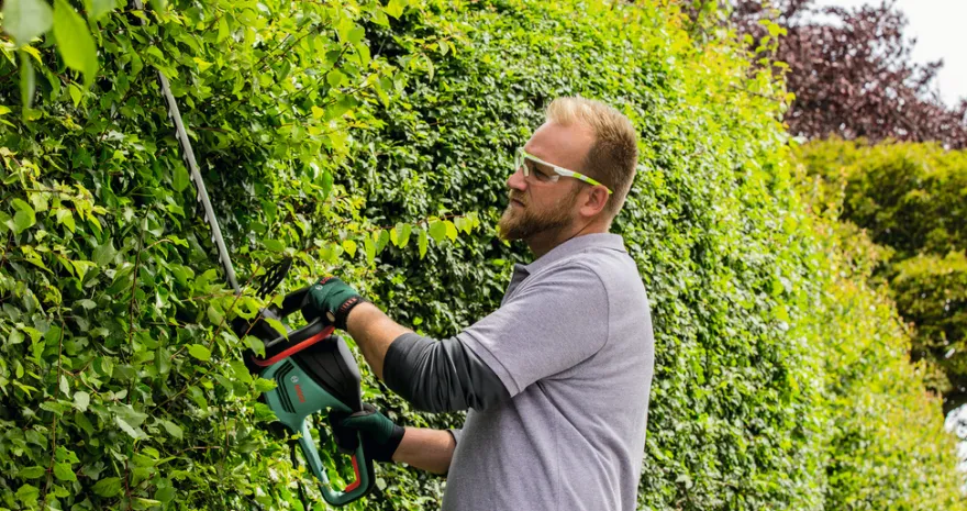 Bosch el-hækkeklipper 480 W 50 cm