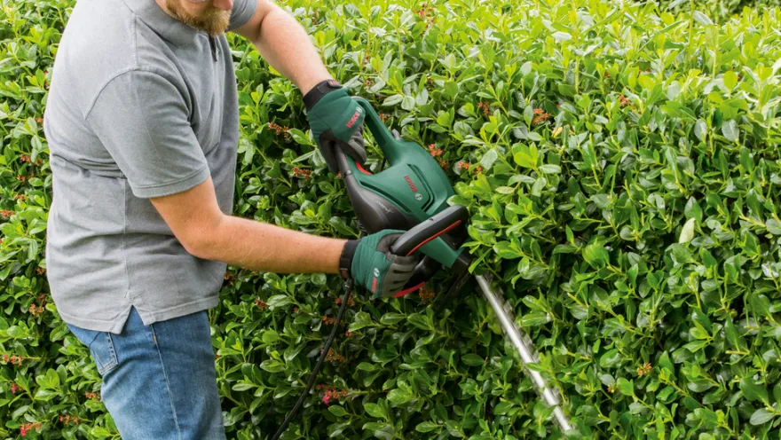 Bosch el-hækkeklipper 480 W 50 cm