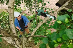 Bosch UniversalChainPole 18 kædesav m/teleskop