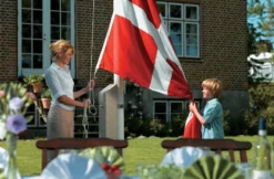 Dano Mast flagstang 10 meter