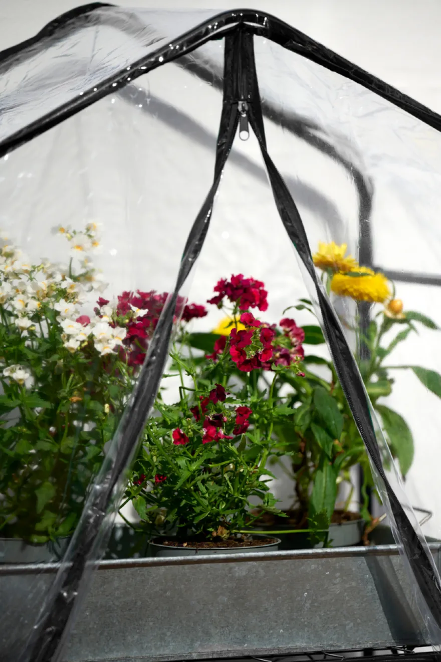 Drivhus 59 x 39 x 126 cm - Garden®