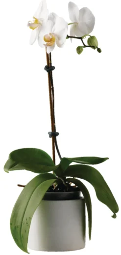 Fleksibel line 5 meter - Garden®