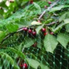 Fuglenet 8 x 8 meter - Garden®