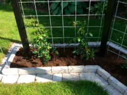 Galvaniseret armeringsnet - 5 mm