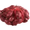 Grønne Fingre® stikløg rødløg 'Red Baron' 250 g