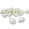 Grønne Fingre® stikløg salatløg Snowball 250 g