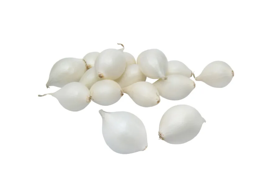 Grønne Fingre® stikløg salatløg Snowball 250 g