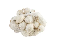 Grønne Fingre® stikløg salatløg Snowball 250 g