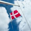 Høflighedsflag til båd 30 x 40 cm