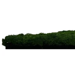 Jangal Modular Wall mospanel 52 x 52 cm - Dark Green