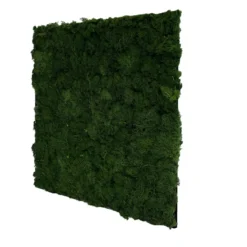 Jangal Modular Wall mospanel 52 x 52 cm - Dark Green