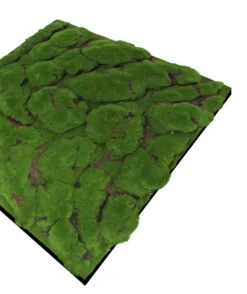 Jangal Modular Wall mospanel 52 x 52 cm - Dark Green Bulk