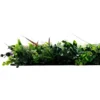 Jangal Modular Wall plantepanel 52 x 52 cm - Exotic Mix