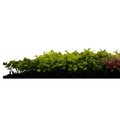 Jangal Modular Wall plantepanel 52 x 52 cm - Pink Mix