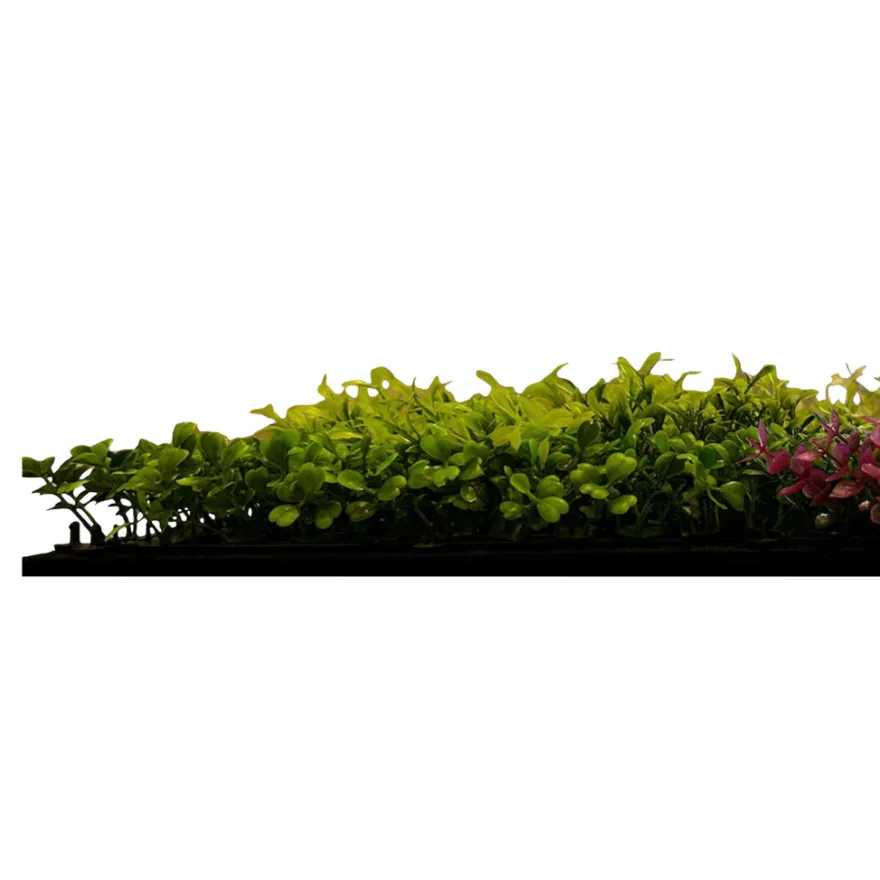 Jangal Modular Wall plantepanel 52 x 52 cm - Pink Mix