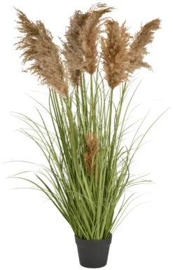 Kunstgræs med ægte pampas 120 cm