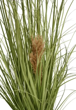 Kunstgræs med ægte pampas 120 cm