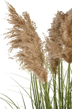 Kunstgræs med ægte pampas 120 cm