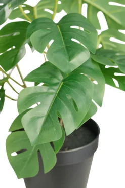 Kunstig monstera i potte H32 cm - DAY