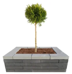 Murblok Nordic Wall grå 60 x 30 x 12 cm