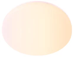 Plafond Ø28 cm 18 W RGB wi-fi