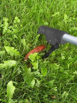 Snegledræber/-opsamler L: 92,5 cm - Garden®