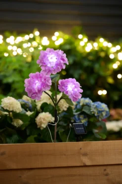 Solcelleblomst Hortensia - Garden®
