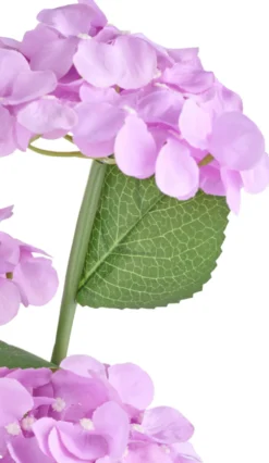 Solcelleblomst Hortensia - Garden®