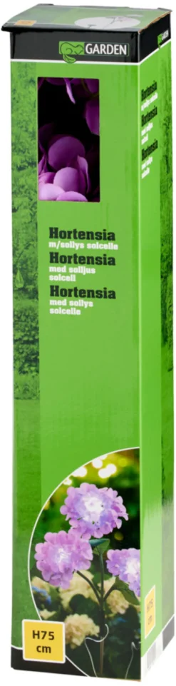 Solcelleblomst Hortensia - Garden®