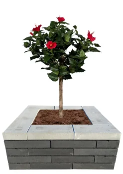 Topplade Nordic Wall grå 60 x 30 x 10 cm