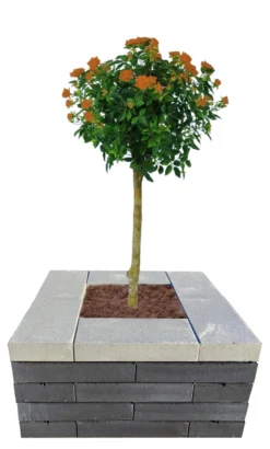 Topplade Nordic Wall koks